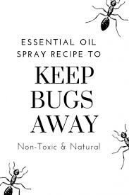 How To Control Bugs Naturally Keep Bugs Away Essential Oil Spray Recipes Healthy Living Inspiration