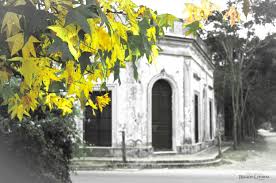 Region Litoral San Jose Del Rincon Antigua Casa Beney San Jose Santa Fe Rincon