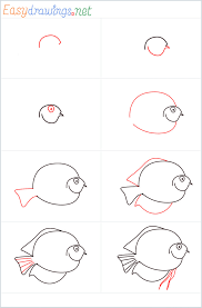 I'm sharing the simplest tutorial that will show you that through video tutorials. How To Draw A Discus Fish Step By Step 8 Easy Phase