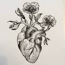 Heart flower drawing flowers and leaves heart png download 600. Anatomical Heart Woodcut Google Search Tattoos Tattoo Drawings Trendy Tattoos