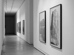 Bildergebnis für Dorit Margreiter