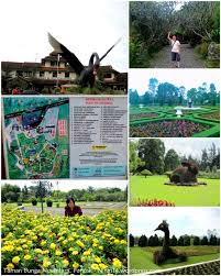 Taman bunga nusantara merupakan salah satu taman bunga tertua di indonesia yang sudah ada sejak tahun 1995. Serunya Liburan Ke Puncak Taman Wisata Matahari Kota Bunga Wisata Agro Gunung Mas Taman Bunga Nusantara Little Venice Pancakes Time
