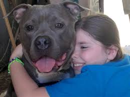 When Emma heads to her first day as a Sandy Hook Elementary fourth grader  this week, she'll bring a stuffed toy to remind her of Jeffrey, her pit  bull therapy dog. Jeffrey,