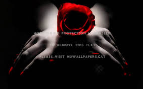 Black And White Red Roses Love Flower Background Black Red Rose 1680x1050 Download Hd Wallpaper Wallpapertip We present you our collection of desktop wallpaper theme: black and white red roses love flower