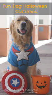 5.0 out of 5 stars 6. Halloween Archives Golden Woofs