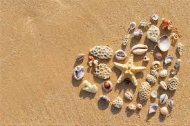 Ο αύγουστος, κατά το παλαιό ρωμαϊκό ημερολόγιο. Hr8e O Aygoystos Kalo Mhna Inkefalonia