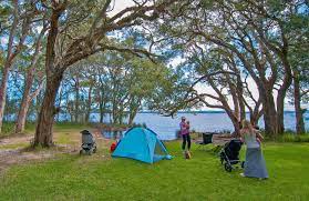 White Tree Bay Campground Myall Lakes National Park Photo John Spencer Picnic Area National Parks Campground