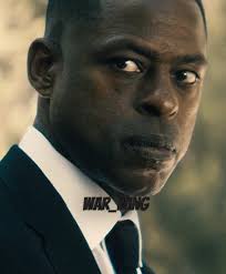 Teri Collins Paradise