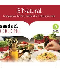 Senfkraut pflanze kaufen die top auswahl unter allen getesteten senfkraut pflanzen. Seeds Cooking Bio Senfkraut Kress Sprossen Bei Baldur Garten