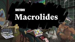 Image result for Extended Spectrum Macrolide