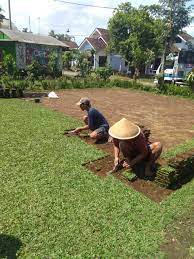 Bentuknya seperti karpet yang didesain menyerupai rumput asli. Jual Rumput Gajah Mini Di Madiun Jual Rumput Jepang Di Madiun Jual Rumput Golf Di Madiun Tahun 2021 Rumput Taman Malang