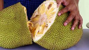 Maybe you would like to learn more about one of these? How To Cut Jackfruit Fresh Jackfruit Cutting And Eating Opening Jackfruit Youtube