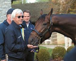 No, his trainer, bob baffert, said tuesday, the colt was being treated for dermatitis with an ointment that contained the drug in question. Hall Of Famer American Pharoah Dazzled Baffert Bloodhorse