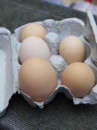Backyard eggs are vegan right? Backyard Chickens Fascinating Egg Facts Hgtv