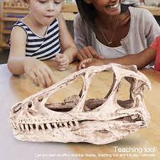 Check spelling or type a new query. Topincn Resin Dinosaur Skull Model Simulated Animal Skeleton Home Office Decor Craft Teaching Prop Animal Skull Model Dinosaur Skull Model Walmart Canada