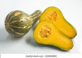 Image result for Cucurbita moschata