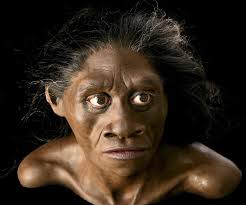 New human species discovered in Indonesia in 2003
