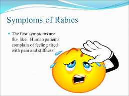 The early symptoms of rabies in people are similar to that of many other illnesses, including fever, headache, and general weakness or discomfort. Rabies The Killer Virus Ppt Download