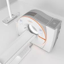 Image result for Ctenium somalense