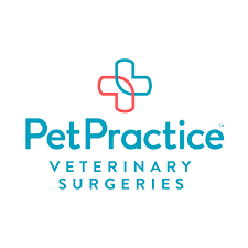 Pet Practice Veterinary Surgery
