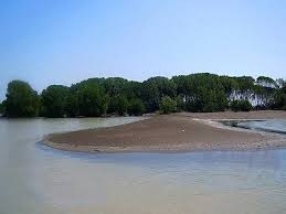 Muara sungai yang terbagi dua wilayah antara tanah administratif yogyakarta dan purwerejo, jawa tengah ini sangat sangat tenang muka airnya. Jalur Ke Muara Beting