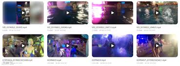 舌尖上的菊花：独家水上乐园5.55GB