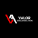 Logo VA ORGANIZATION