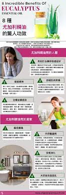 8種尤加利精油的驚人功效 有機香氛organic aromas eucalyptus essential oil essential oils oils