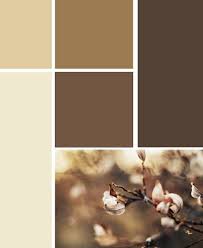 Brown Color Scheme For A Living Room Earth Tone Living Room Brown Paint Colors Brown Color Schemes