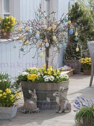 Holzfass Bepflanzt Mit Salix Caprea Pendula Kaetzchenweide Fruehling Auf Deck Weide Im Fass Primeln Bell Veranda Dekorieren Weinfass Garten Diy Ostern