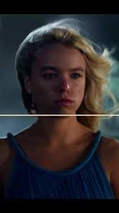 Cliff Fall Emergency: A Race Against Time