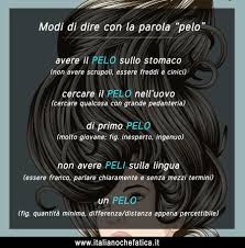 Modi Di Dire Con La Parola Pelo Italiano Che Fatica