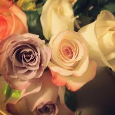 We did not find results for: I M Gonna Miss You Flowers Liz K Flickr