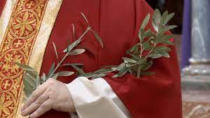 El papa francisco celebró la misa en la basílica de san pedro del vaticano. Qgtjclllwjhtjm