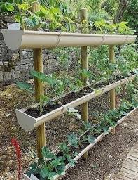 Plante pousse trop en hauteur. Newest Pic Vegetable Garden Planters Ideas Pots Tubs And Half Barrels Filled With Flowers Add A In 2021 Small Vegetable Gardens Plants Vegetable Garden For Beginners