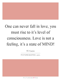 Never Fall In Love Quotes Sayings Never Fall In Love Picture Quotes