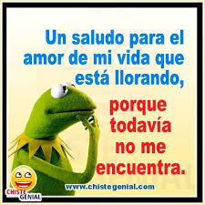 Chistes De Parejas Un Saludo Para El Amor De Mi Vida Dinosaur Stuffed Animal Memes Funny