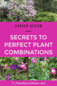 10 Tips For Creating Plant Combinations That Work Plants Perfect Plants Garden Design