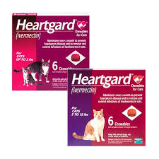 We did not find results for: Heartgard Plus For Cats Our Pets Pharmacy