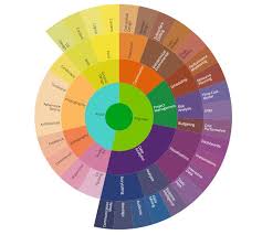 Sunburst Chart D3