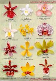5 Simple And Crazy Tips Can Change Your Life Resin Jewelry Steampunk Jewelry Fashion Magazine Bohemian Jewelry Brands Gum Paste Flowers Orchid Flower Orchids