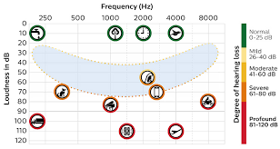 Understand Hearing Loss And How To Prevent It Philips