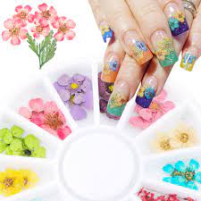 Tiny dried flowers for nail art uk. 24pcs Wheel Nail Art Decoration Dried Flower 3d Manicure Polish Summer Real Preserved Floral Leaf Mixed Dry Bloom Tips Trxhd 1 Rhinestones Decorations Aliexpress
