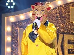 Surprising Facts You Didn T Know About The Masked Singer Insider