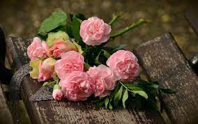 Anna's name 😍🤩 we cordially invite a large selection of flowers, we are waiting for you 🌹🤩. Dt3ks7x Huinim