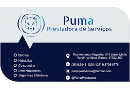 Puma Prestadora