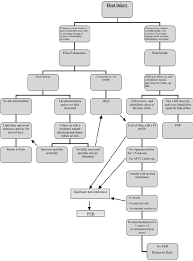 return to duty flow chart per ar 40 501 download