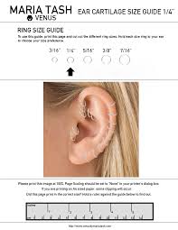 Cartilage Hoop Earring Size Chart Earring Foto Collections