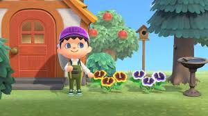 A list of the best gifts to give puck in animal crossing: Animal Crossing Mail When Does It Come Animal Crossing New Horizons Guide Gamepressure Com