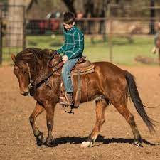 At the time, american cowboys had to work long hours in the saddle and often over rough terrain, someti. Differences Between English Western Horseback Riding Curlyfarm Com